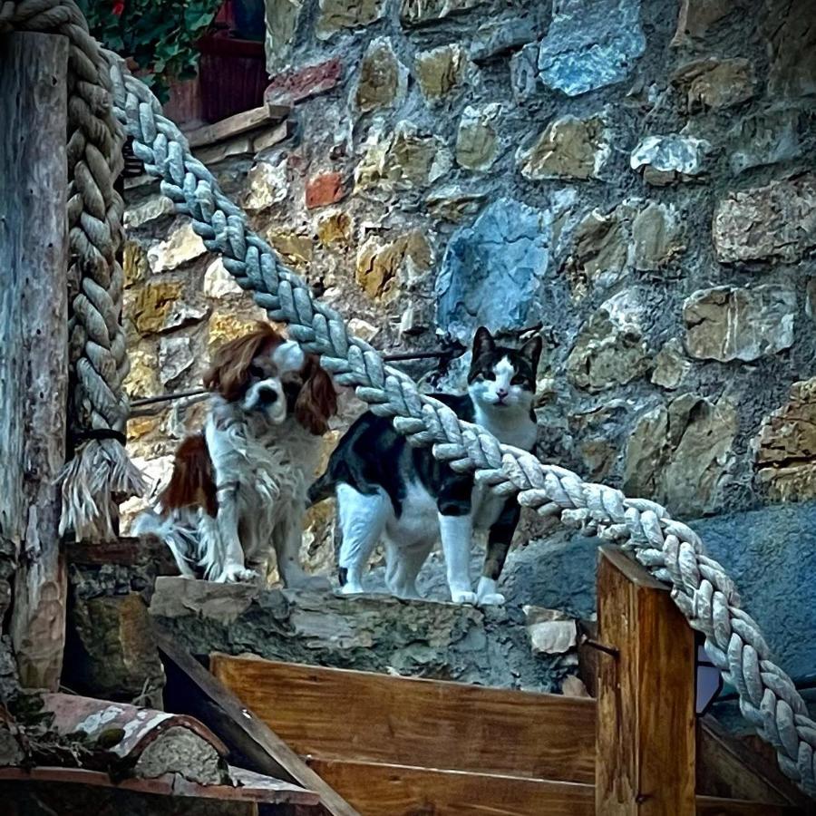Camere Vecchia Fonte Campiglia Marittima Kültér fotó
